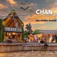 เปิดแล้ว Halloween Season at CHAN nature cafe'