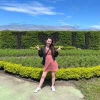 Day trip to Tai Chung 