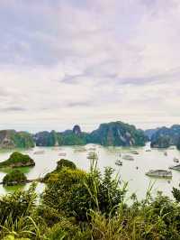 Explore Halong Bay With Cozy Bay Cruise 🌊