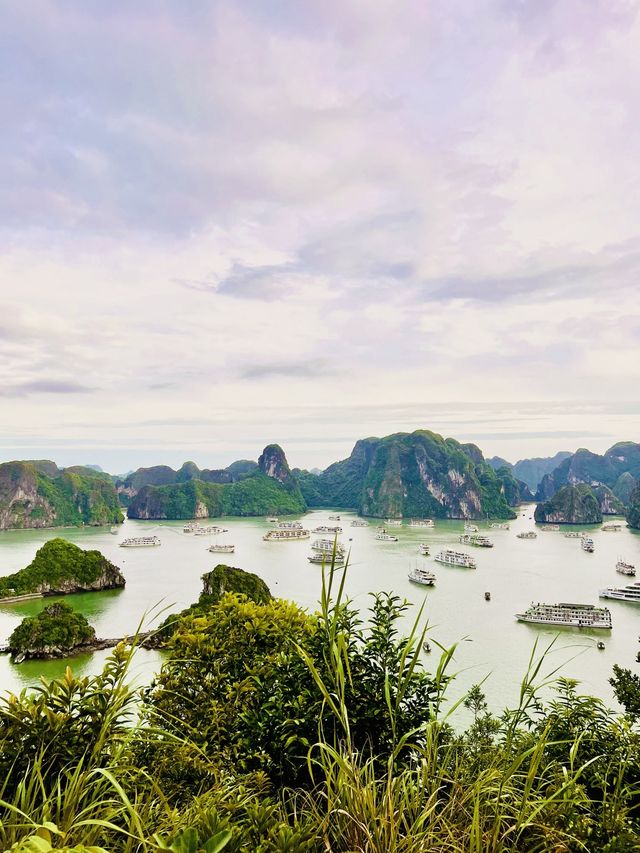 Explore Halong Bay With Cozy Bay Cruise 🌊