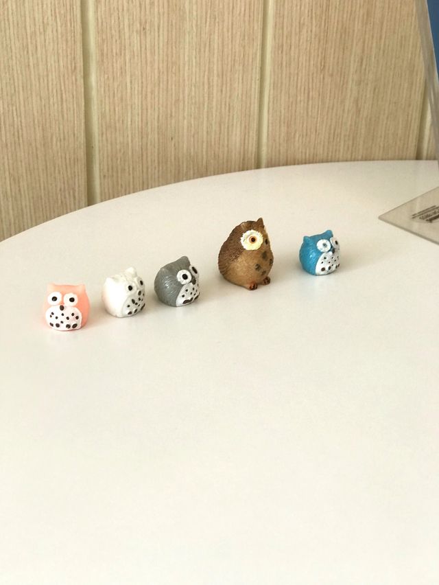 Cafe OWL CHa (ยะลา)