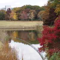 花の美しい芝生の綺麗な公園