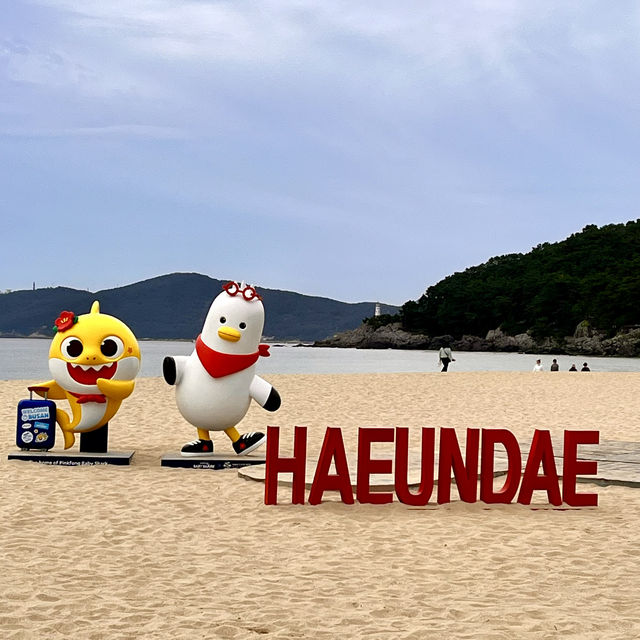 【海雲台ビーチ】釜山でリゾート気分を味わえるなんて、思っても見なかった❗️🥰