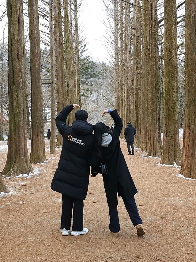 겨울 춘천 여행 필수 코스 "남이섬"