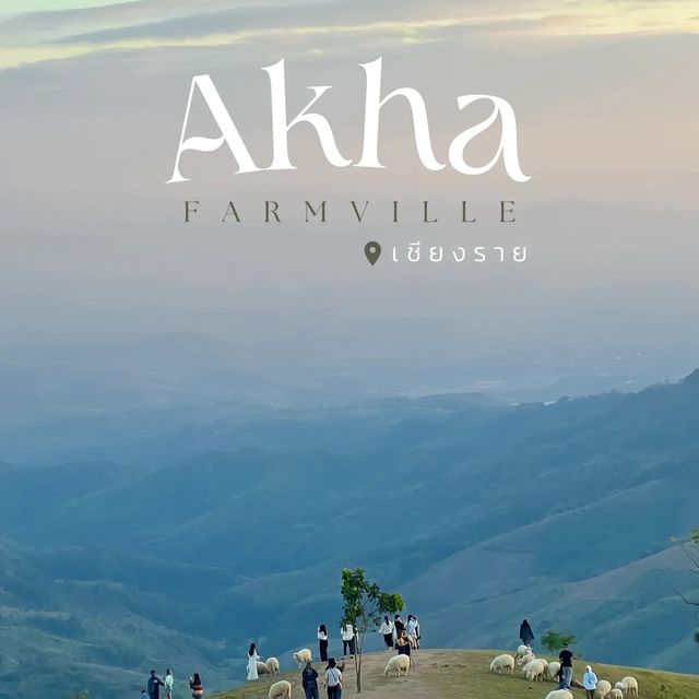 AKHA  ฟาร์มแกะ 🐑
