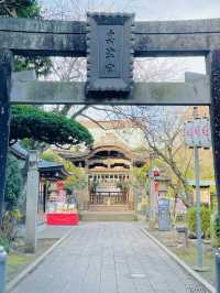 【神奈川県/奥津宮】神使の亀が見守る神社