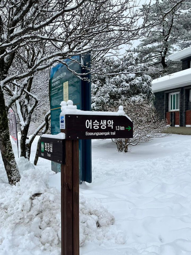 Experience White Winter @Jeju Island