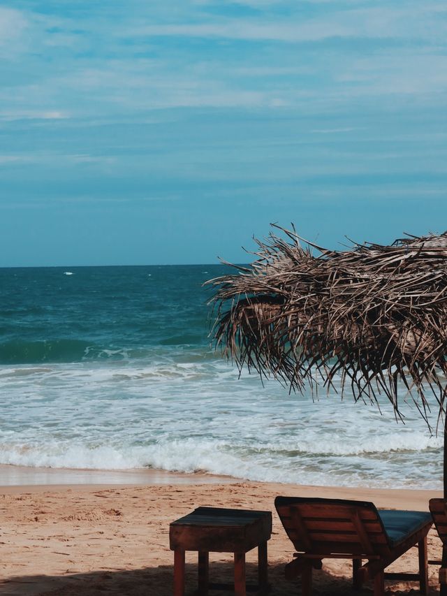 Beaches of Southern Province, Sri Lanka🌴🇱🇰