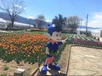 Herb garden travel diary