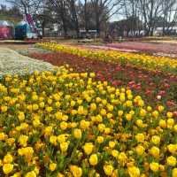 Floriade - Canberra