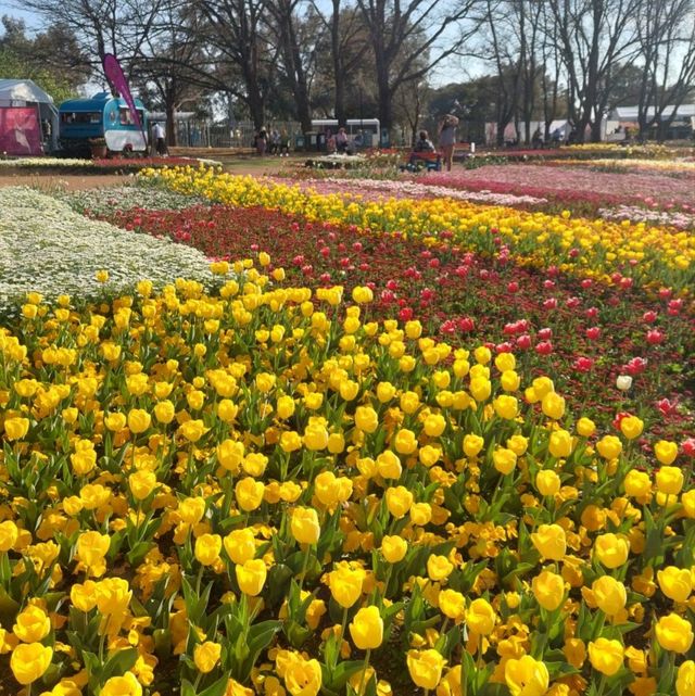 Floriade - Canberra