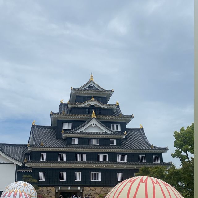 Okayama castle 