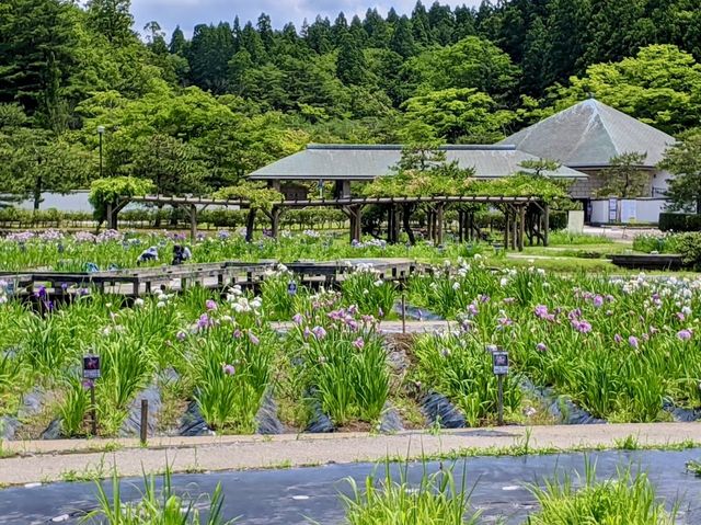 Akita Prefectural Koizumigata Park