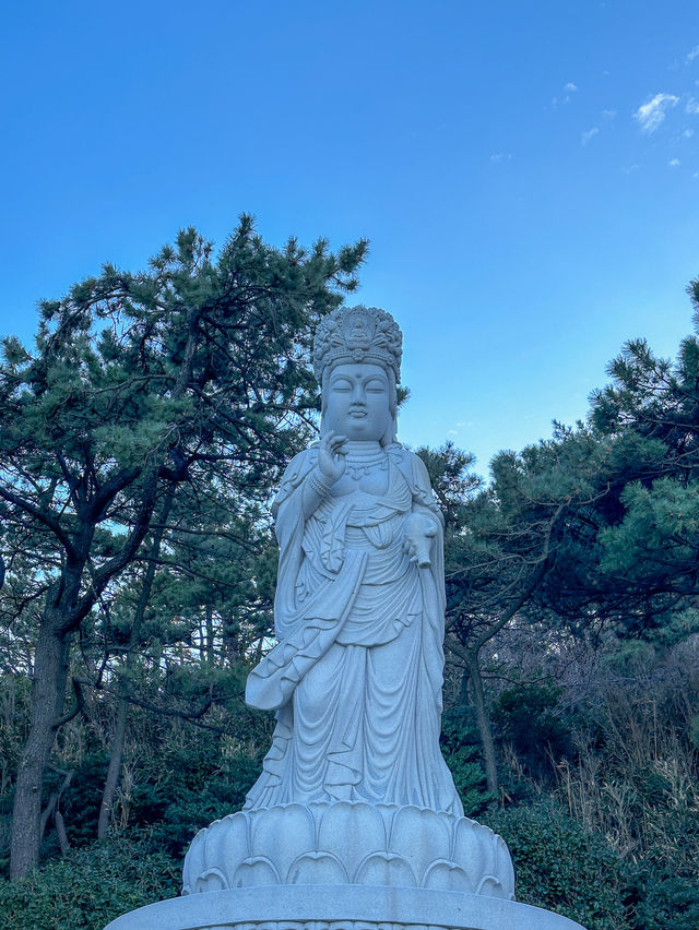 세계적으로 유명한 부산 바닷가 절, 해동용궁사