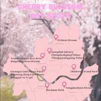 beautiful spot for spring at Seoul 