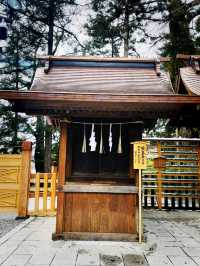 【長野県/下諏訪　全国にある諏訪神社の総本社『諏訪大社』の2つ目⛩️秋宮】