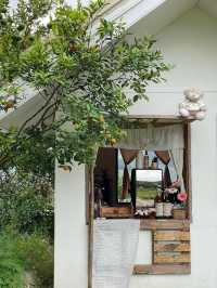 🍊 JINJU the orange farm - สวนส้มจินจู 🍊🧺🌳   🌳
