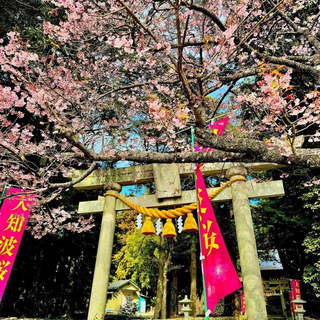 大神山八幡宮