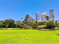 Royal Botanic Garden Sydney