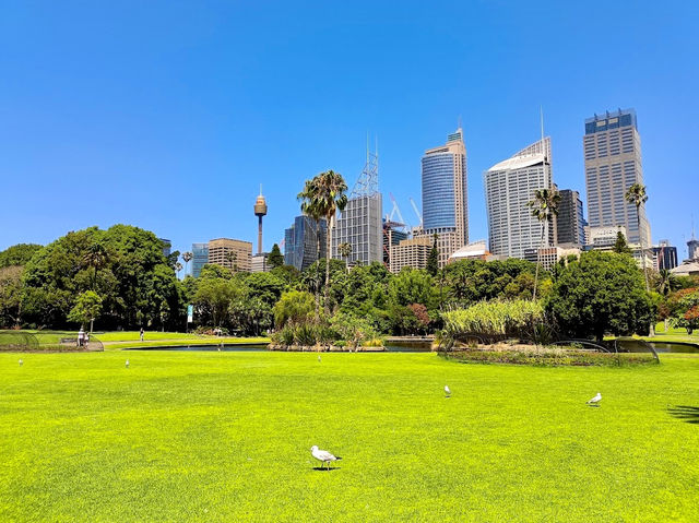 Royal Botanic Garden Sydney