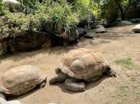 Los Angeles Zoo