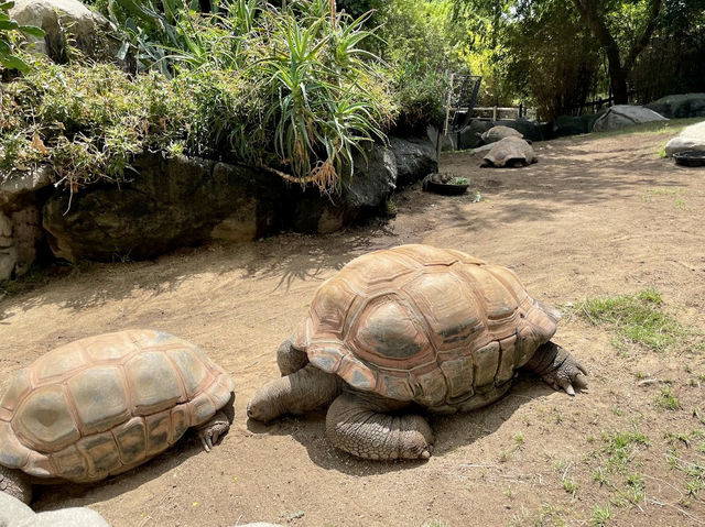 Los Angeles Zoo