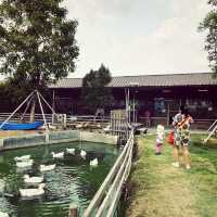 Moori Moori 🐮 Play Farm