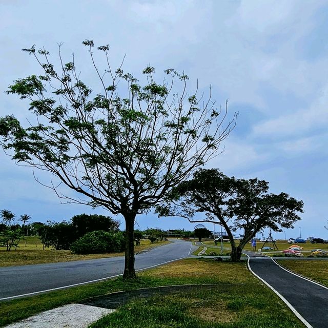 迎接曙光的好地方：台的東海濱公園