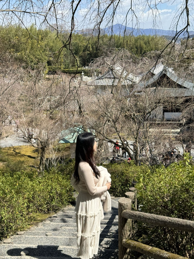 아라시아마에 위치한 텐류지 교토여행 필수코스