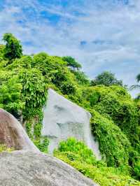 Buddha's Footprint