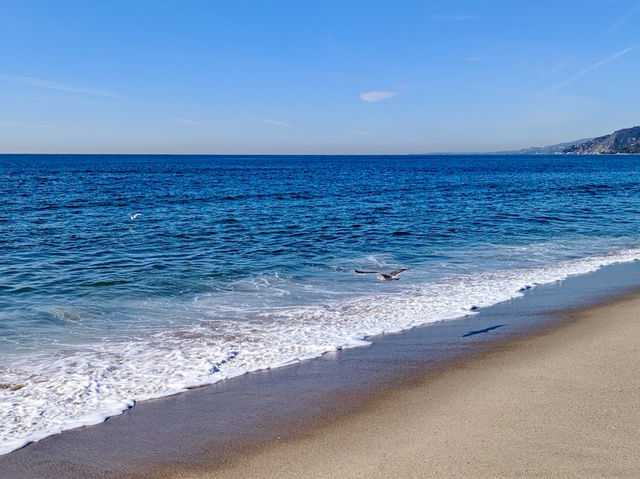 Will Rogers State Beach