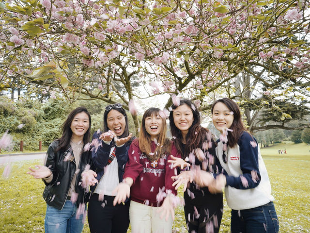 🇺🇸 三藩市金門公園 🌸 觀賞櫻花最佳地點