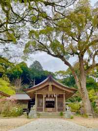 【太宰府市】桜、紅葉、新緑と季節を楽しめる神社