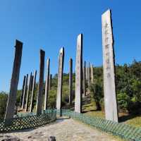 Infinite Serenity: Wisdom Path's Tranquil