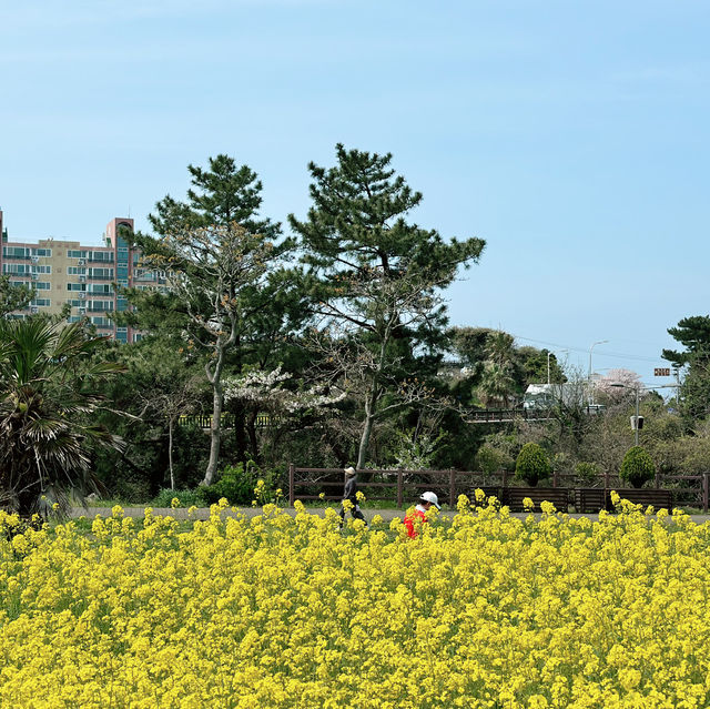 🦮🐕‍🦺 공원의 모습을 갖추는 스마트 그린 도시 생태공원