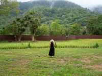 ที่พักเปิดใหม่ เขาใหญ่ บรรยากาศวิวภูเขาล้อมรอบ🍃