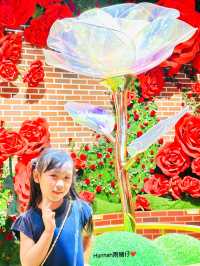 #海洋公園x小王子
