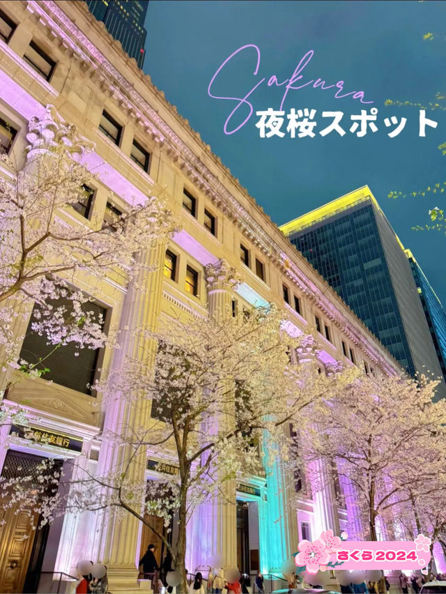 【東京・日本橋】意外と穴場かも?!幻想的なレトロ夜桜