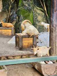 Sunway Lagoon Theme Park