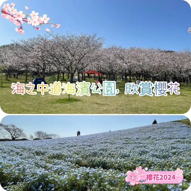 海之中道🥰海濱公園