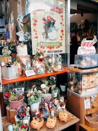 🇯🇵日本仙台探店👣 どんぐりガーデン共和国 東北第一間