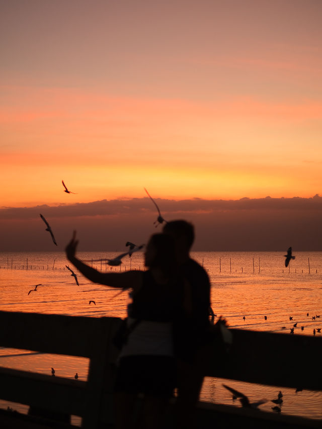 สถานตากอากาศบางปู 🐦🌤️