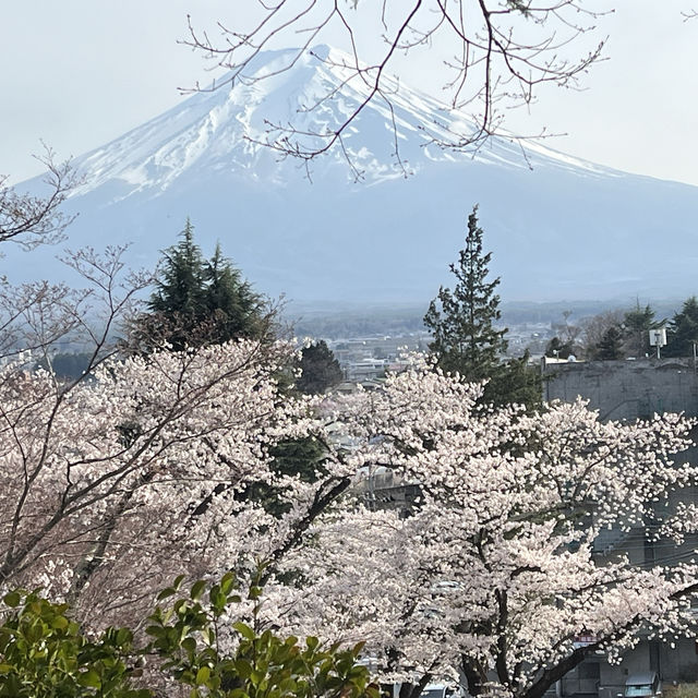 新倉富士淺間神社