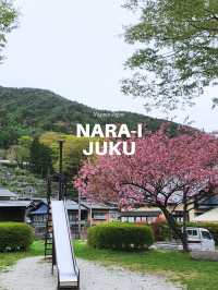 🌸🍃Narai Juku 🌸Japan