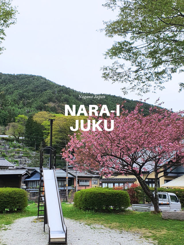 🌸🍃Narai Juku 🌸Japan