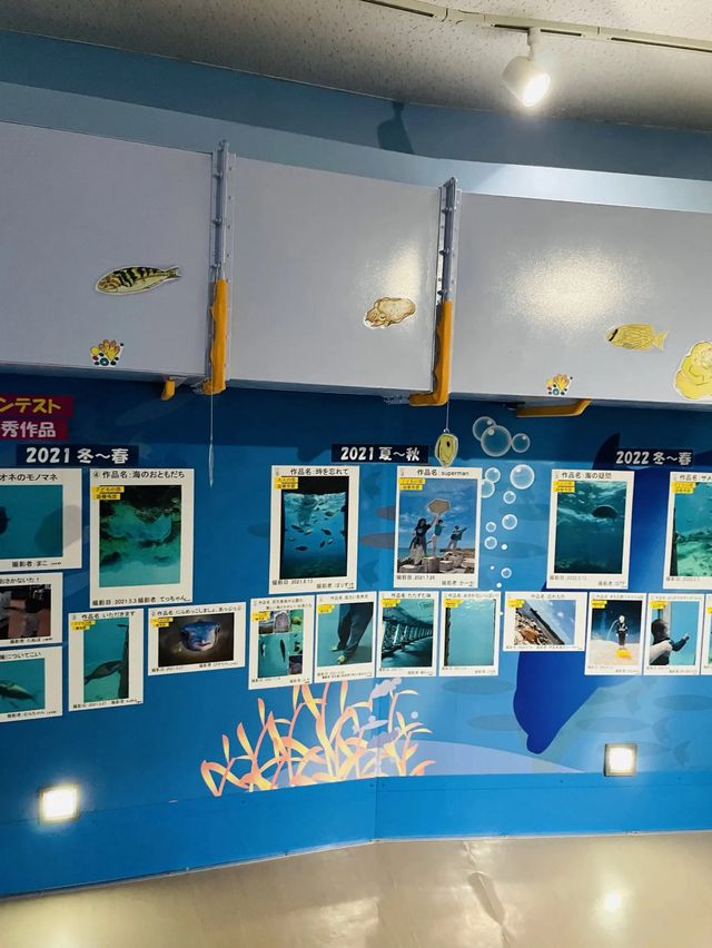 【宮古島】服を着たまま海中散歩が楽しめる！