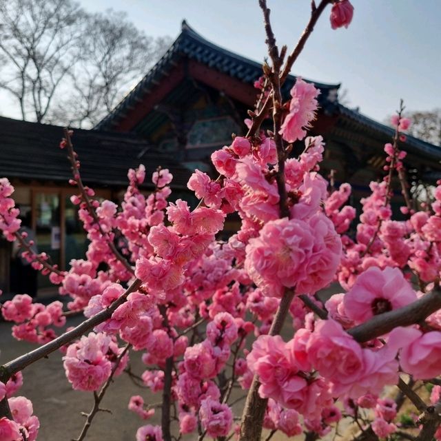 Beauty in serenity at Jingwansa, north of Seoul