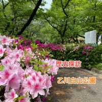 歴史探訪　乙川白山公園
