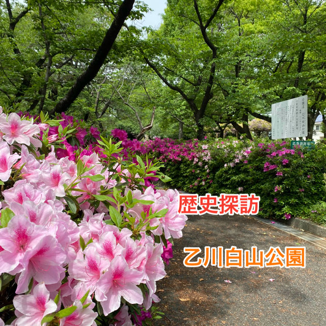 歴史探訪　乙川白山公園