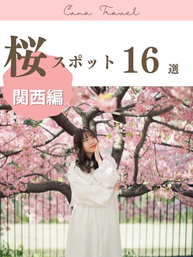 賞櫻景點【關西篇】